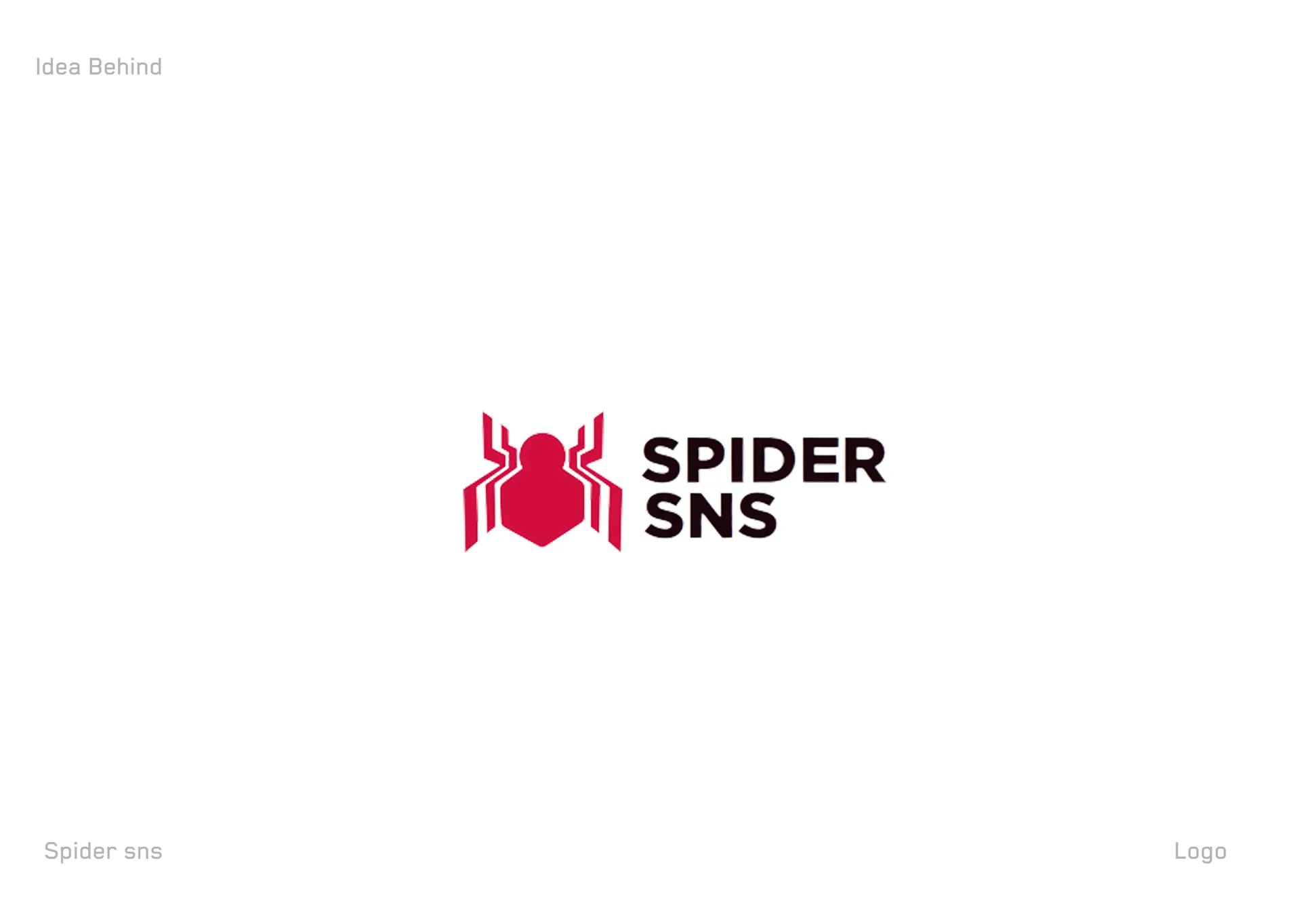 Spider SNS — Logo & Brand Identity Design — 02