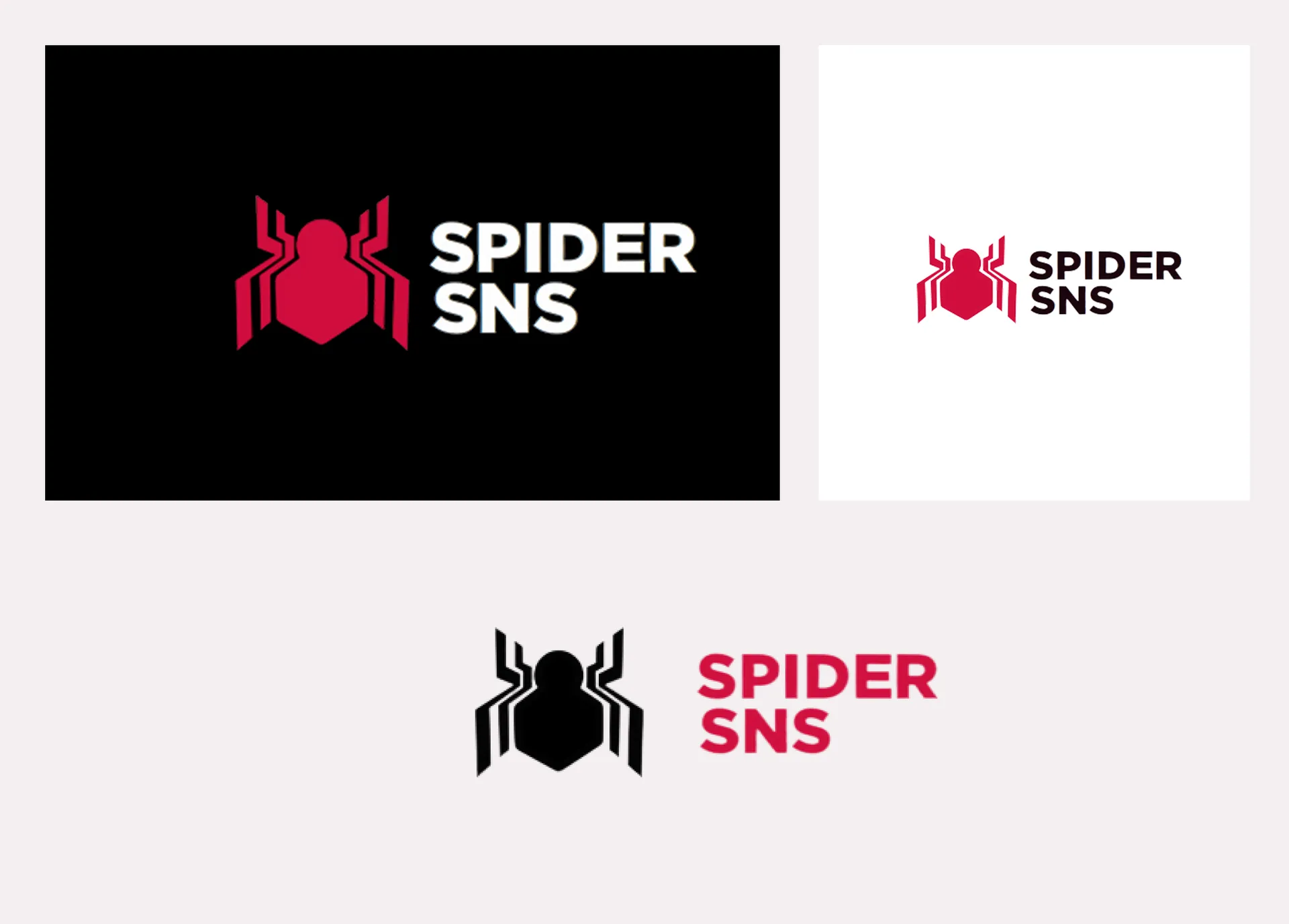 Spider SNS — Logo & Brand Identity Design — 03