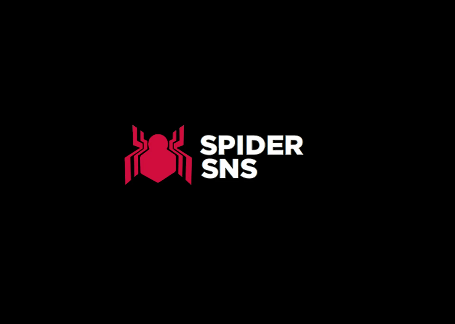Spider SNS — Logo & Brand Identity Design — 04